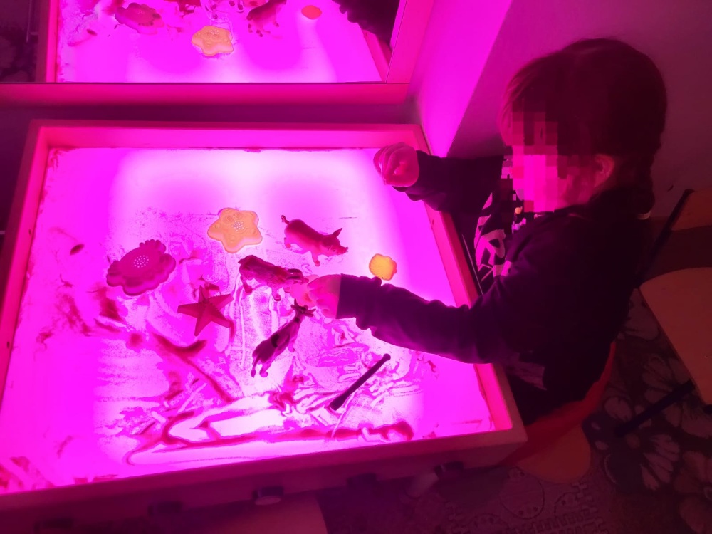 Түзету-дамыту сабақтарының жаңа циклі