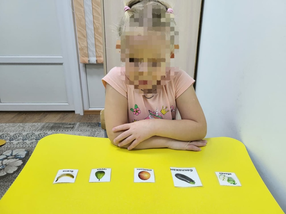 «Дамуында проблемалары бар балалар мен жасөспірімдерді оңалту және әлеуметтік бейімдеу»